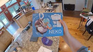 🟪 This Feels Special // Questyle IEM // Neko // Topping PA5 II - Z Unboxing