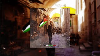 Beraat - Free Palestine  #freepalestine Resimi