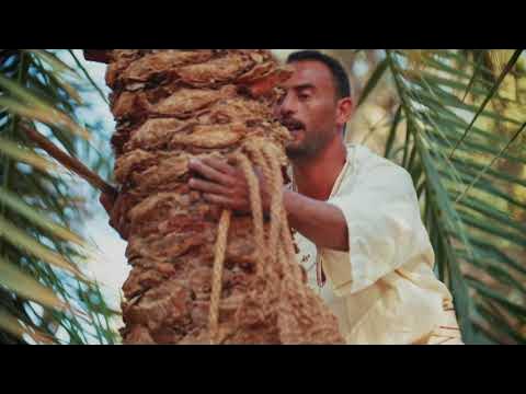 ����� ���� 18 ������ | ����� ������� ���� ������� | ������� ��������� ������
