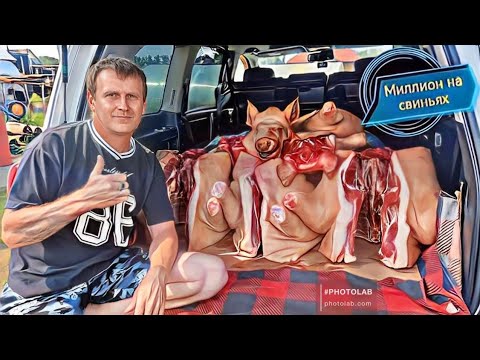 ‼️ Забой свиней больше 800 кг мясом‼️ Бьём рекорды‼️ 