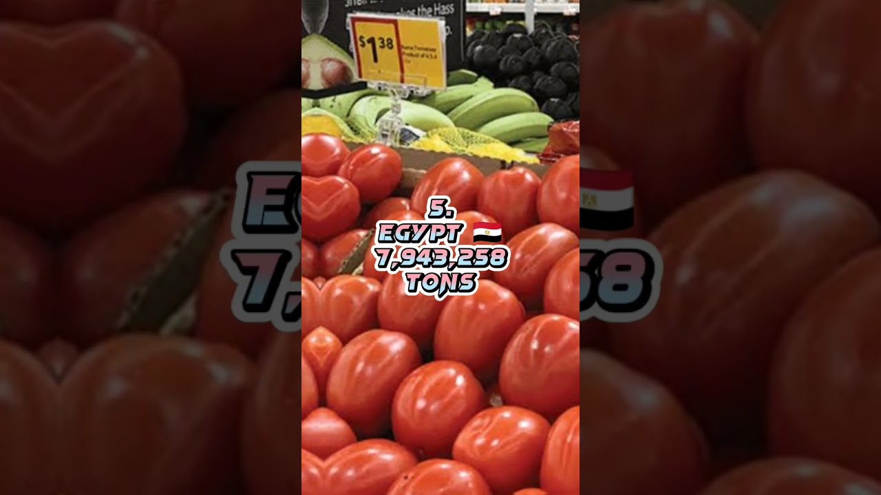 top 10 tomato producing country in the world's 2023