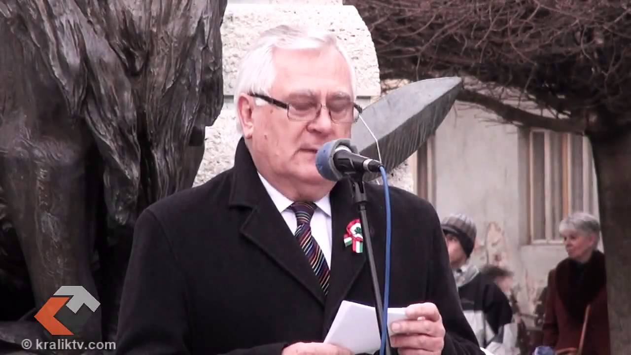 Albert Sambor Komárom, 2015. 03. 15 Albert Sándor - YouTube