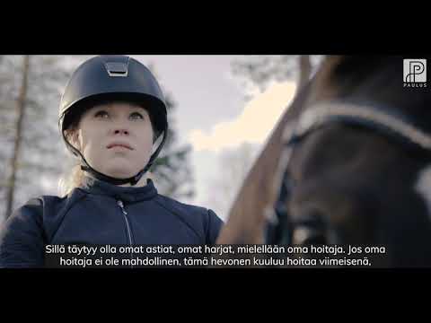 Video: Tarttuva Hevosen Metriitti (CEM) Hevosissa