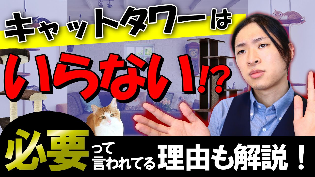 Do you need a cat tower?] A cat breeder explains how to choose a