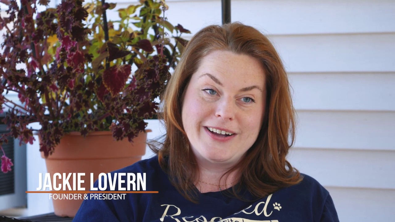 Fetch! Dog Treats The Who, Why & What YouTube