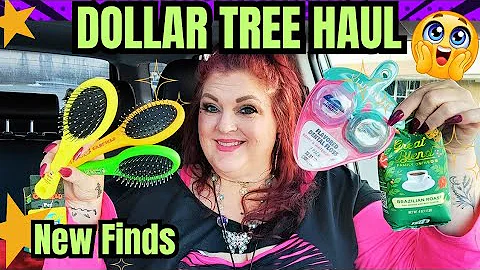 DOLLAR TREE HAUL | New FINDS | December 19, 2025