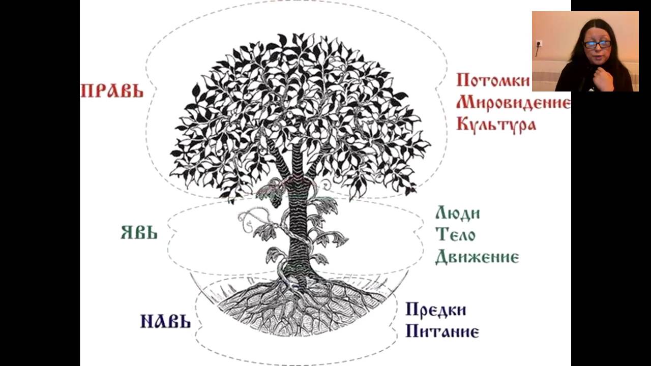 Слова связанные с деревом