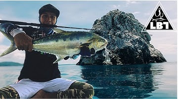 Hòn Trứng Điểm Câu Cá Đẹp Như Thiên Đường Côn Đảo l Jigging Bè Trang l Lưỡi Ba Tiêu