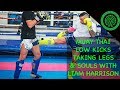 Muay Thai Low Kicks - Leg Destruction with Liam Harrison