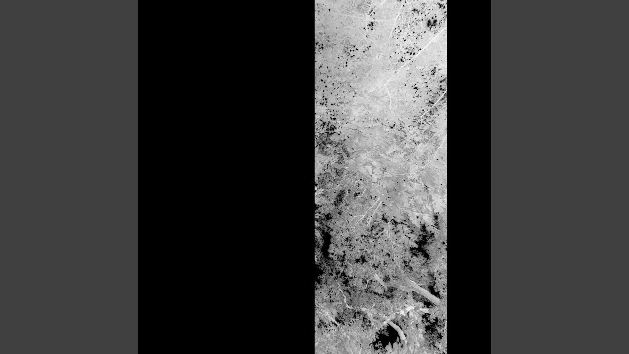 Guarda Withered su YouTube Guarda Withered su YouTube