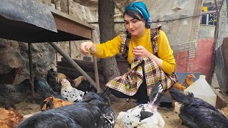 IRAN Village lifestyle: Mix of local dishes in the Village life cooking