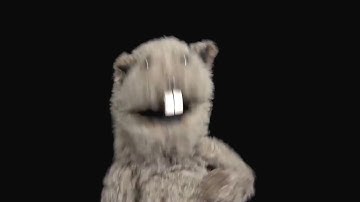 Vertical Video Syndrome | Don