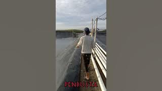 pendusta - gerry mahesa