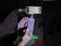Dr. King’s Medicine Bottle &amp; Wittone Found!
