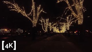 Walk After Rain in Downtown Boston, MA | Binaural Sounds for Sleep and Study [4K Cozy ASMR]