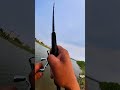 Lure fishing with a spinning reel and a straight handle rod.