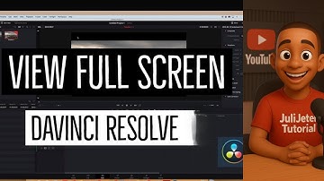 Davinci Resolve 20 : View Full Screen Preview