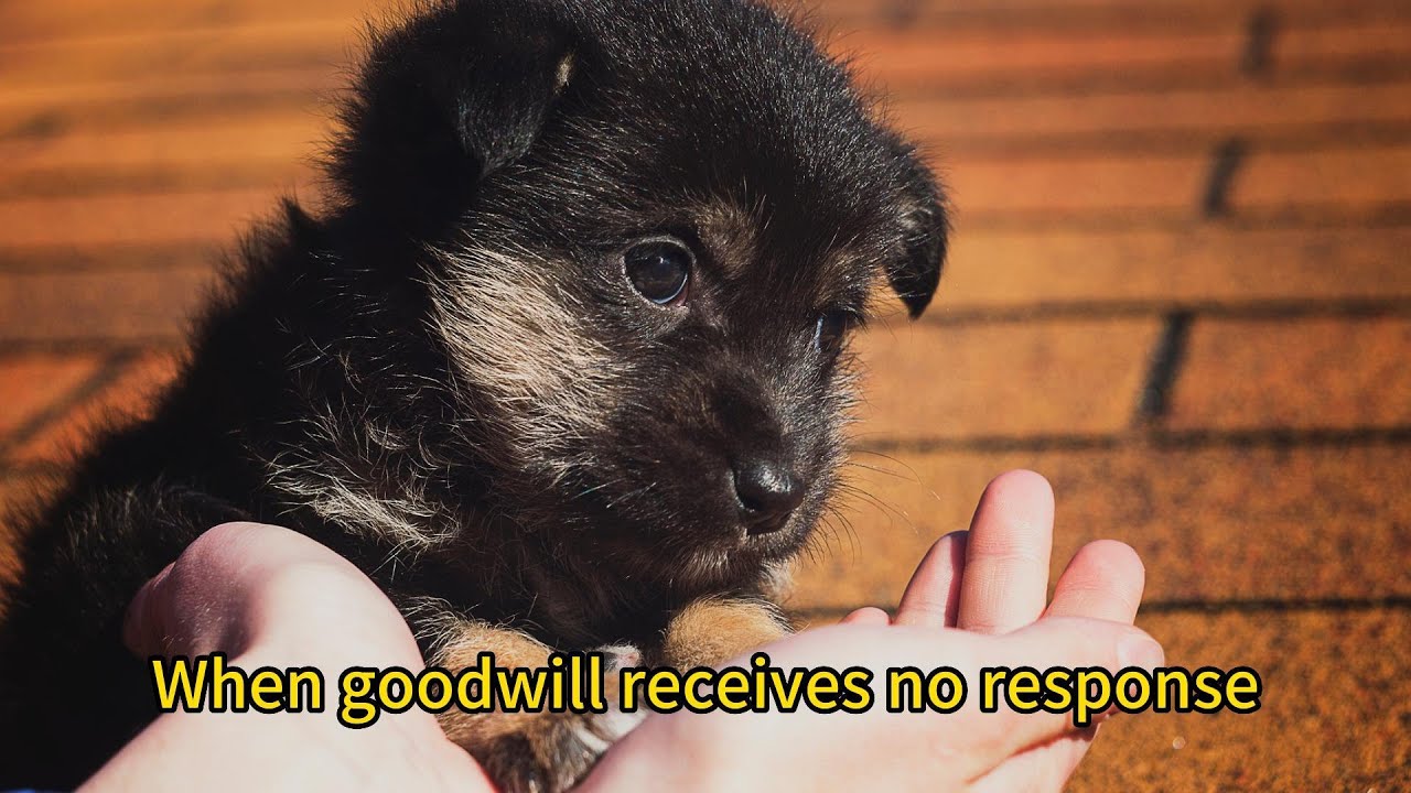 When goodwill receives no response