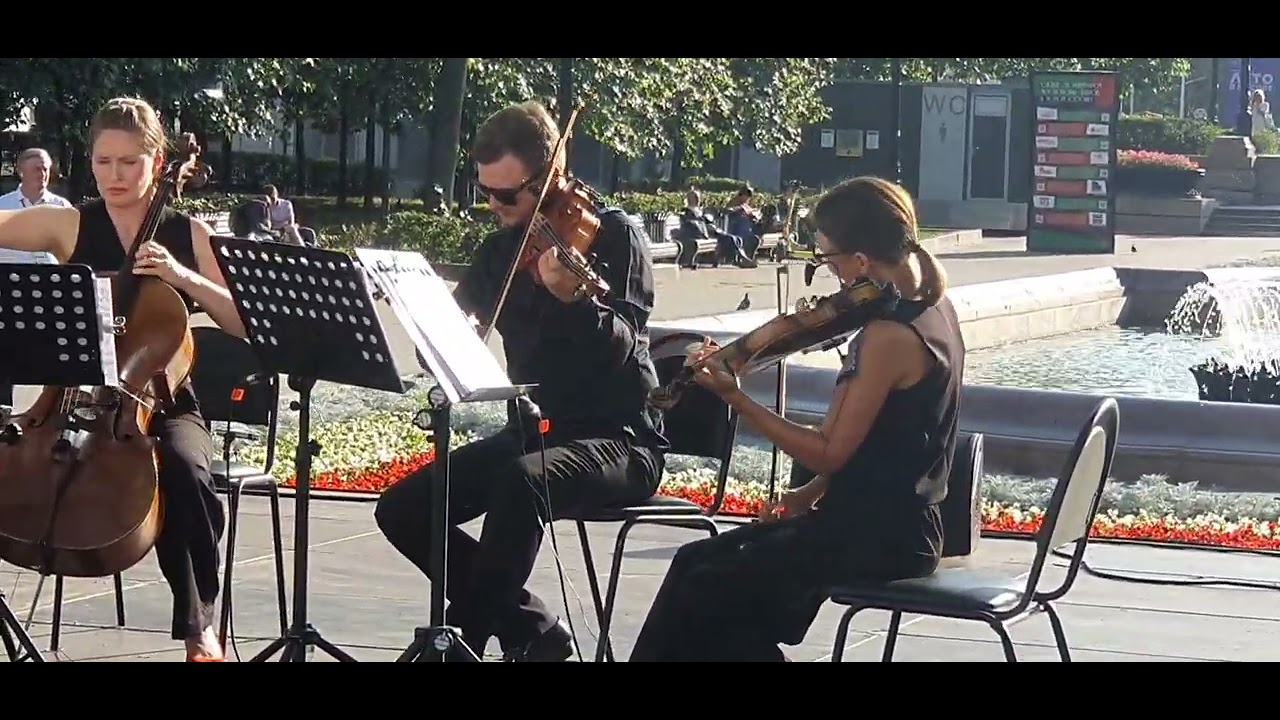 МОСКВА ПУШКИНСКАЯ струнный 