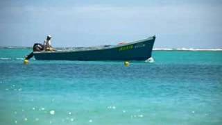 D Lambin - Tir so Linze