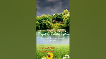 قران كريم بصوت #اكسبلور الشيخ ياسر الدوسري #صوت هادئ و جميل 😴😴♥️ #nature #المصحف #الرحمن