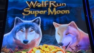 Wolf Run Super Moon 🌕🐺