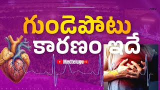 గడపట లకషణల, చకతస