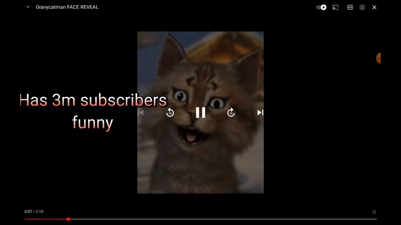 gravy cat man face reveal and funny scene jj YouTube