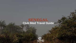 Dive into a travel in Senegal | Club Med Travel Guide