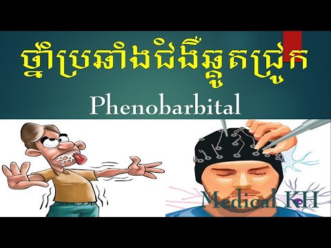 Phenobarbital_ថ្នាំប្រឆាំងជំងឺឆ្គូតជ្រូក