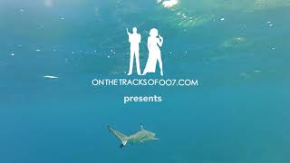 Back To The Bahamas - Teaser