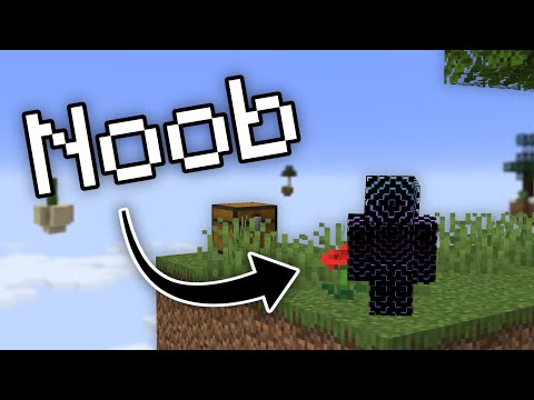 Trying Skyblock For The First Time