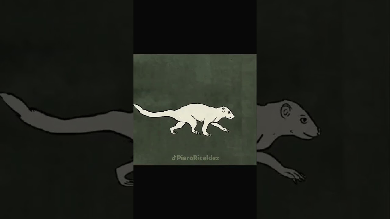 entonces así acabó todo 