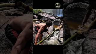 I Built a Jungle Pool from Scratch