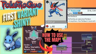 TOP 3 TIPS TO PokeRogue SUCCESS! MAP + BEST Shiny Starters! LEGENDARY EGG HATCHING!