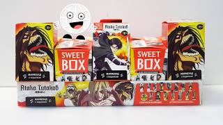 Титаны Атакуют коробки Свит Бокс