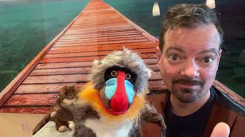 Meet A Mandrill Monkey Puppet  "Monkey Madness 16" The Puppet Hideaway with Eric Thomsen