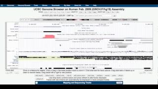 Savant Genome Browser Example