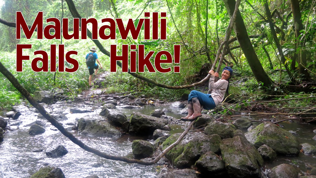 Maunawili Falls Trail Hike - YouTube