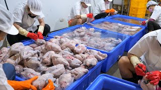 Тайваньский Завод По Переработке Курицы - Целая Жареная Курица И Куриные Окорочка