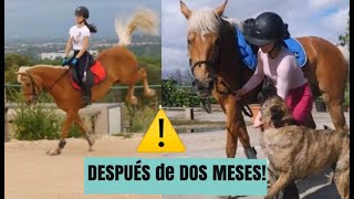 PRIMER día que MONTO a CABALLO después de la CUARENTENA!