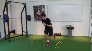 Medial Hops - Stick