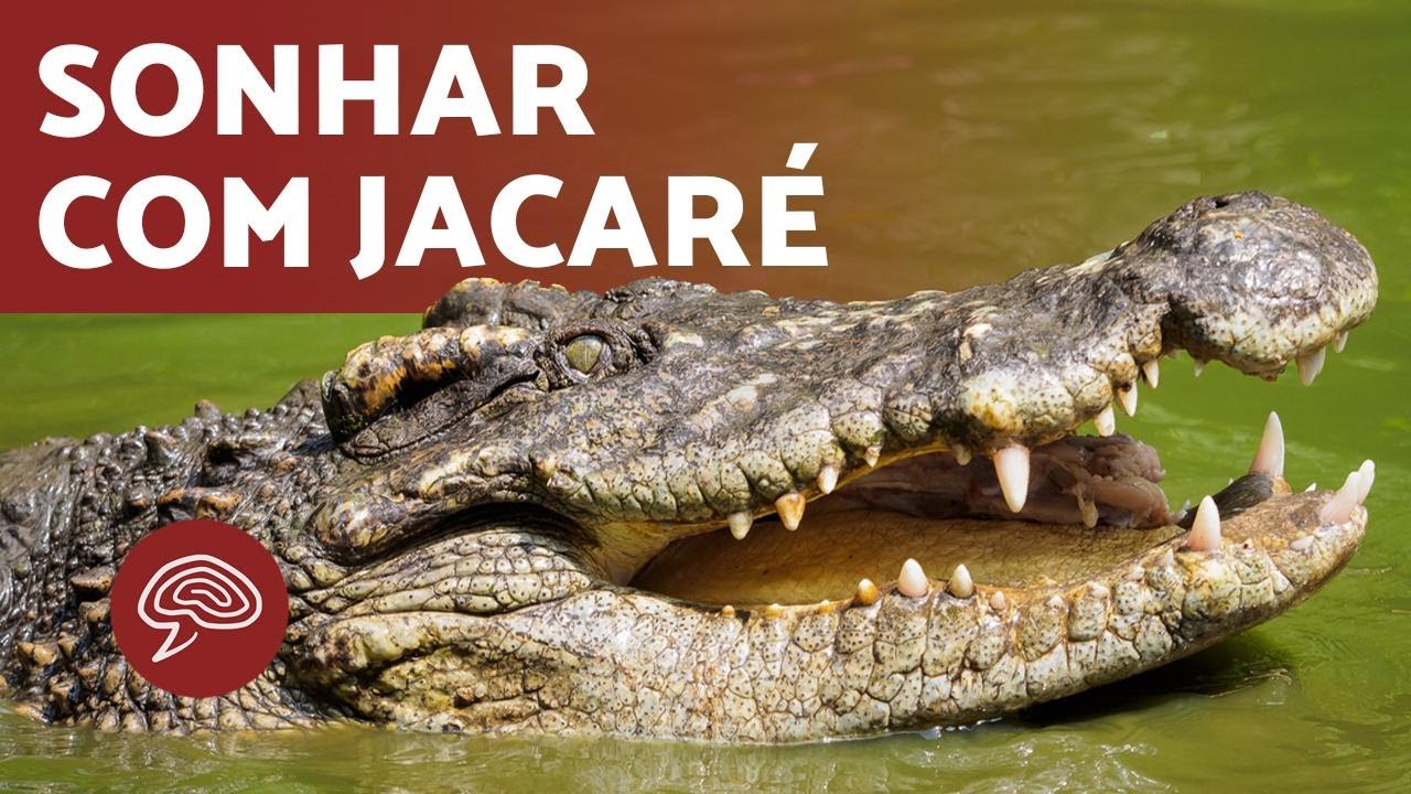 O que SIGNIFICA sonhar com JACARÉ 💤🐊 (INTERPRETAÇÃO DOS SONHOS) - YouTube