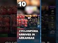 Healthcare providers offer advice on Cyclosporiasis entering Arkansas