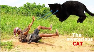 The mysterious cat //real house of comedy// ft chukwuemeka tv