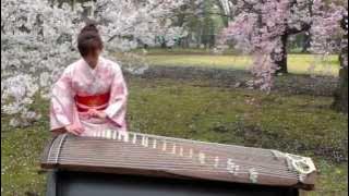 さくら(Sakura)　25絃箏 (25 strings koto)