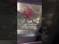 this is what you do if they “don’t feel the spark anymore”