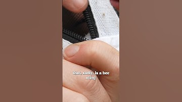 What happens when a bee stings you? | Maddie Moate #shorts | #bees #beefacts