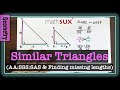 Understanding Triangle Similarity