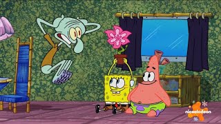 Spongebob Squarepants S11E09 Boxing Begonia Scene Nickelodeon